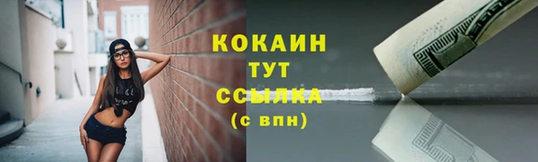 прущие крисы Белокуриха