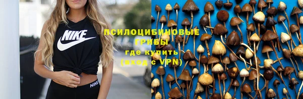 прущие крисы Белокуриха