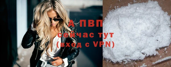 прущие крисы Белокуриха